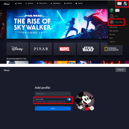 DisneyTV-Profile